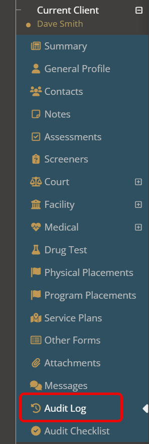 Audit Log menu item