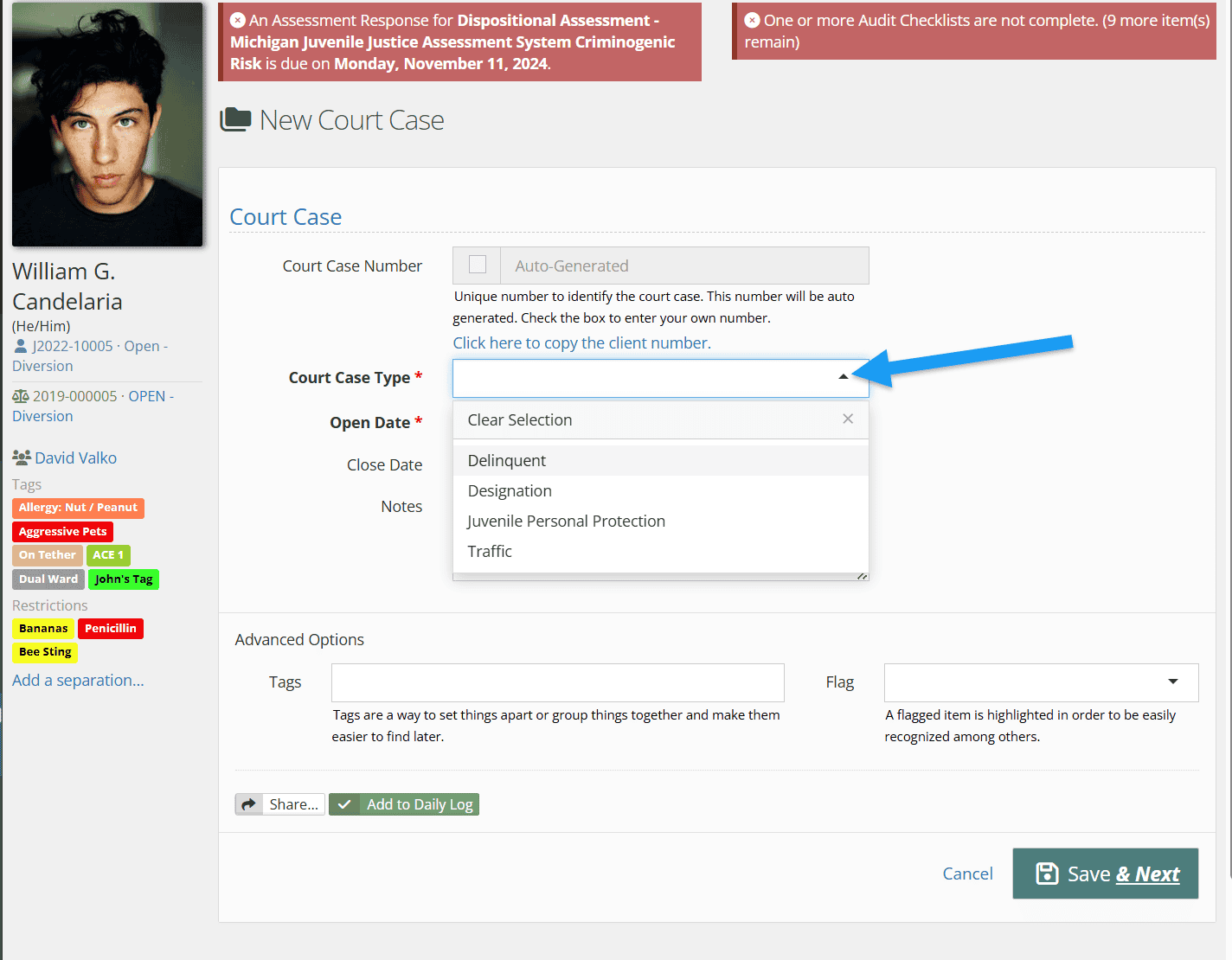 By default, the court case number will be auto-generated.  If your team uses a specific numbering system, however, click the checkbox and manually enter the number. 

Next, choose the court case type and an associated open date.