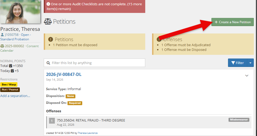 A screenshot of the new Petitions app on YouthCenter showing a sample client's record with Petitions and Offenses panels, listing petition and offense details. A graphic of a red arrow points to the "+Create a New Petition" button.