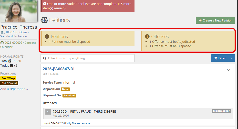 The top of the client's Petitions page, with a red box graphic outlining the Petitions and Offenses summary panels that list what still needs to be disposed or adjudicated.