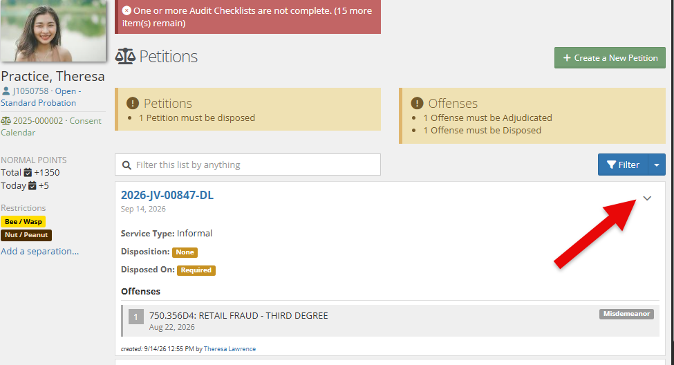 A red arrow graphic pointing to the down-caret dropdown icon on a petition card in the Petitions list.