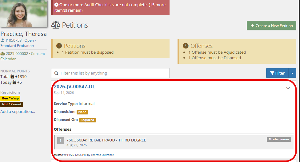 Client Petitions page for Theresa Practice showing the sidebar with client photo and probation status, alerts for 1 Petition must be disposed and 1 Offense must be Adjudicated/Disposed, and a red box graphic outlining the full petition card for 2026-JV-00847-DL, including Service Type, Disposition, Disposed On, and the listed offense.