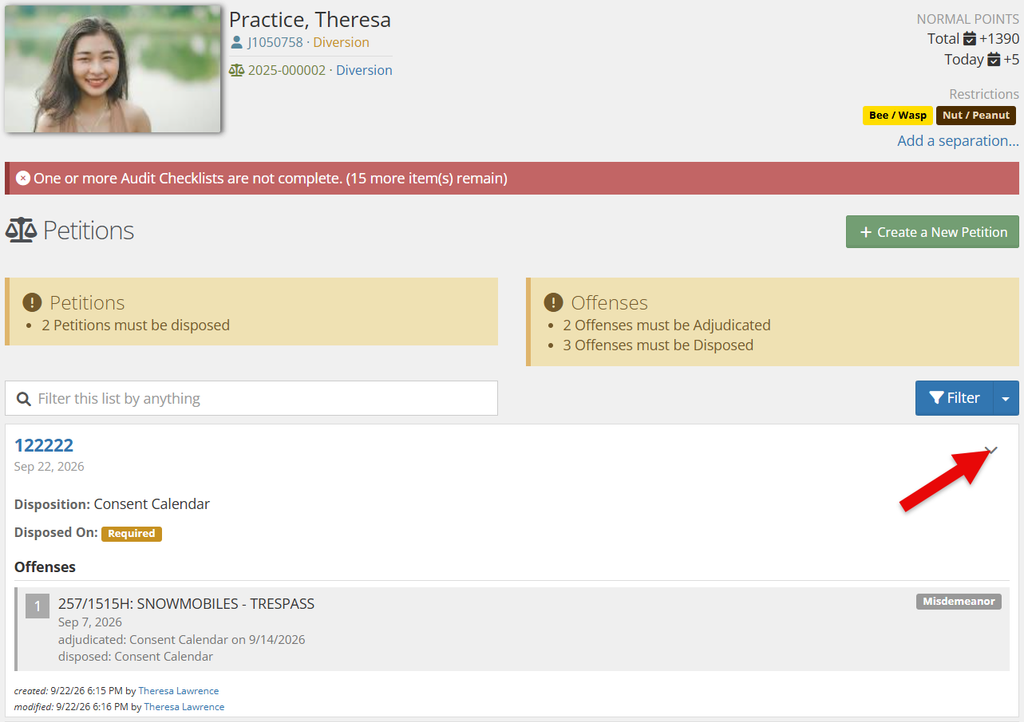 Client Petitions page for Theresa Practice, showing alerts that 2 Petitions must be disposed and 2 Offenses must be Adjudicated, with a list entry for petition 122222 and a red arrow graphic pointing to the dropdown menu icon in the top right of the petition card.